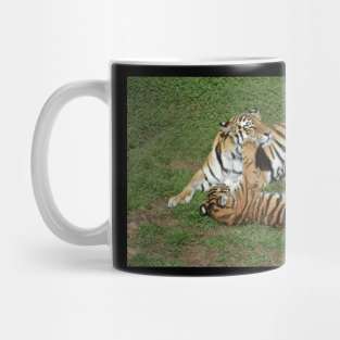 Tigers Mug